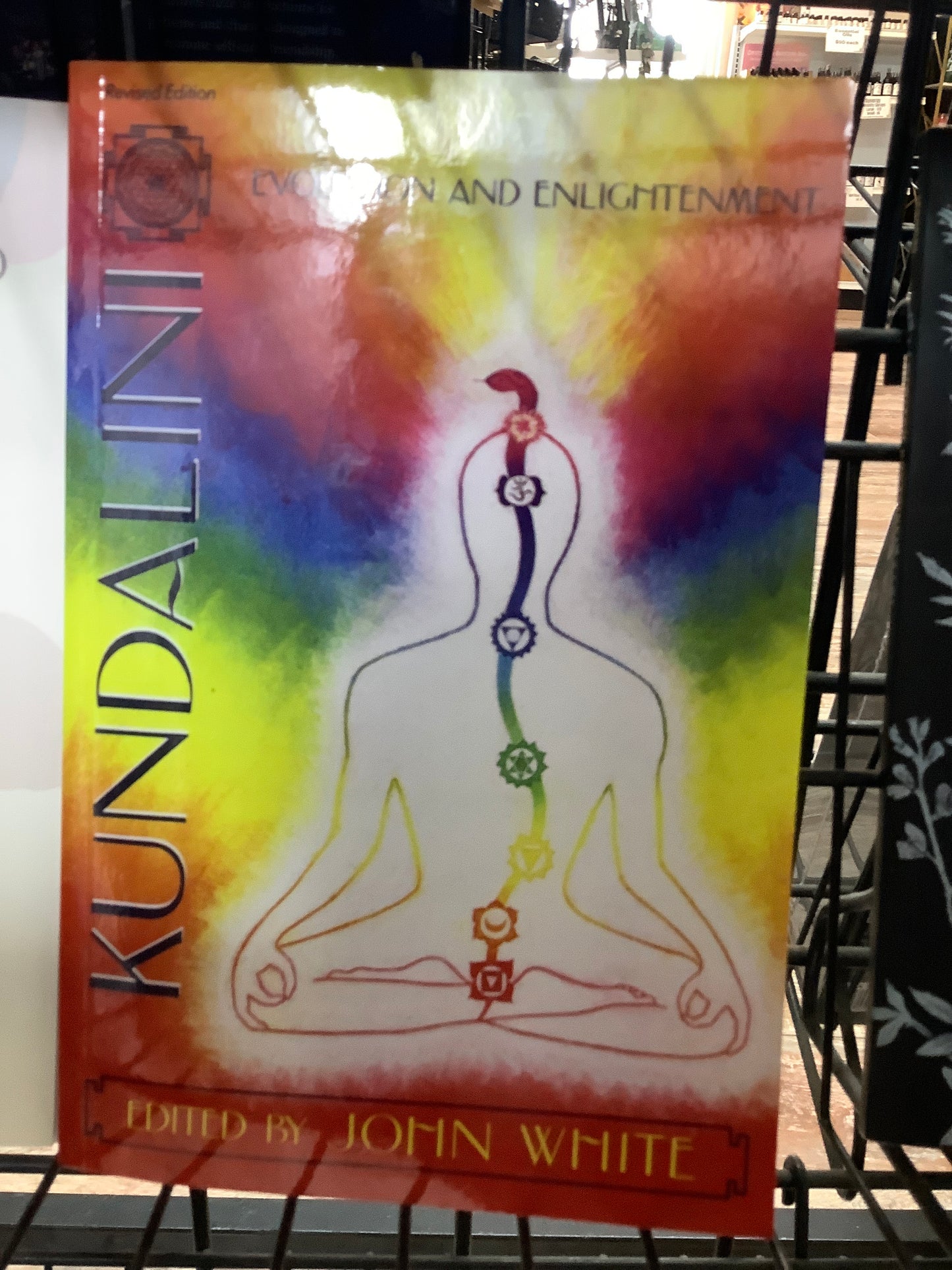 Book Kundalini Evolution & Enlightenment