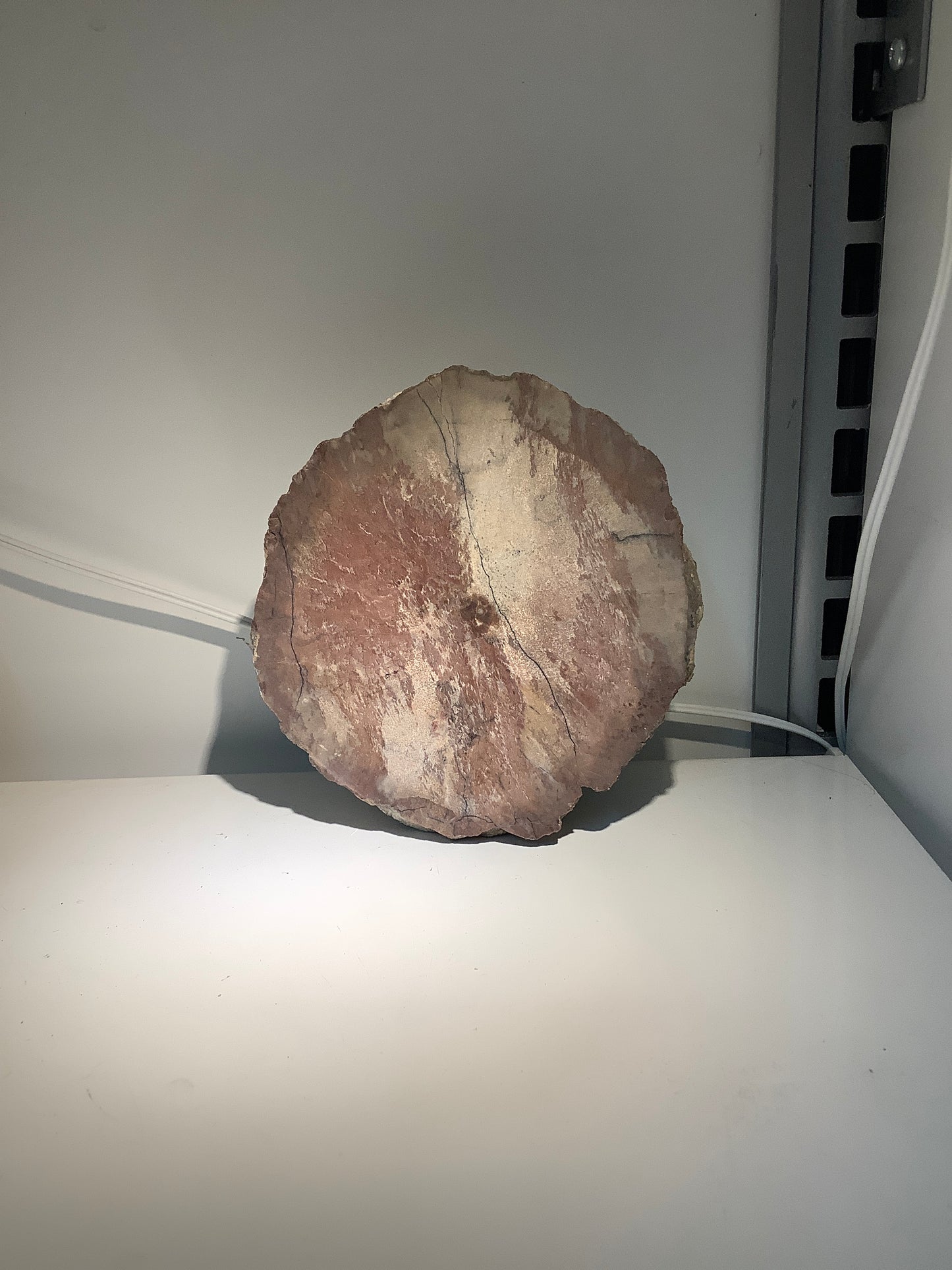 Specimen - Jasper Geode Half Raw