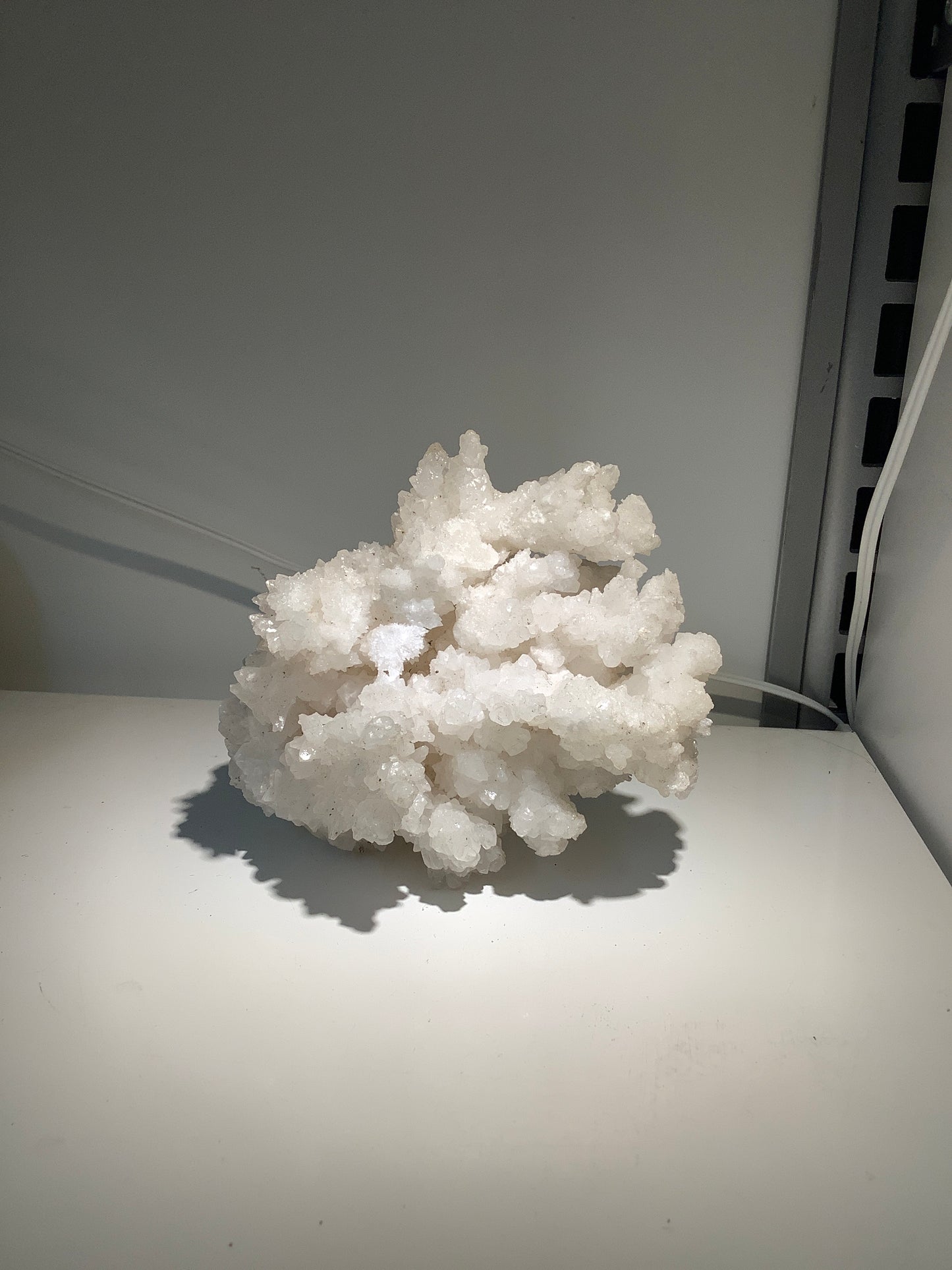 Specimen - Cactus Quartz