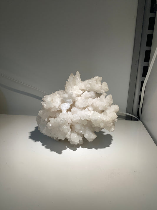 Specimen - Cactus Quartz